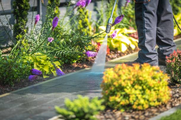 Trusted Elm Grove, WI Pressure Washing Services Experts